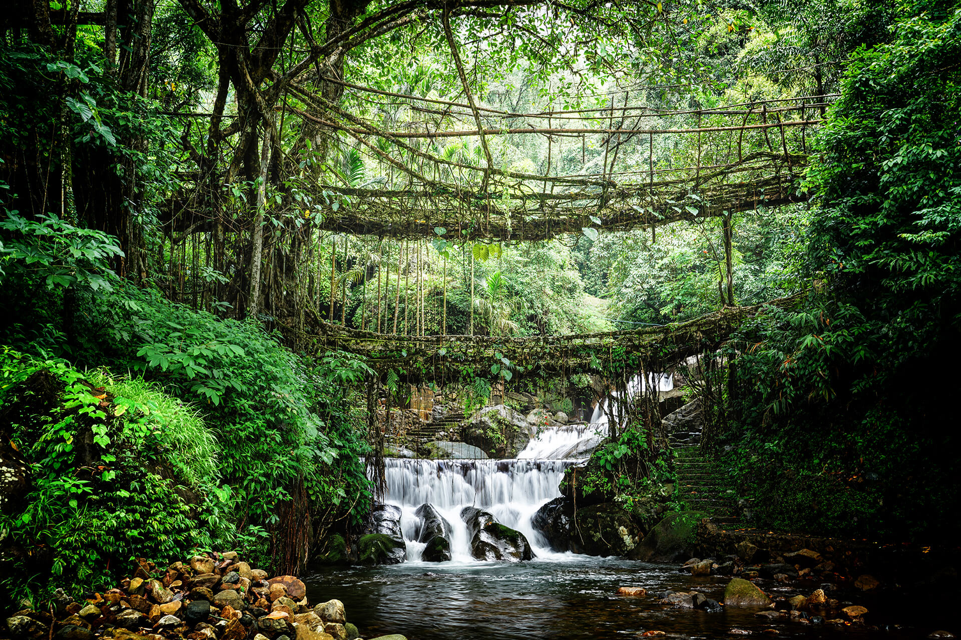 Double Decker Root Bridge, Nongriat