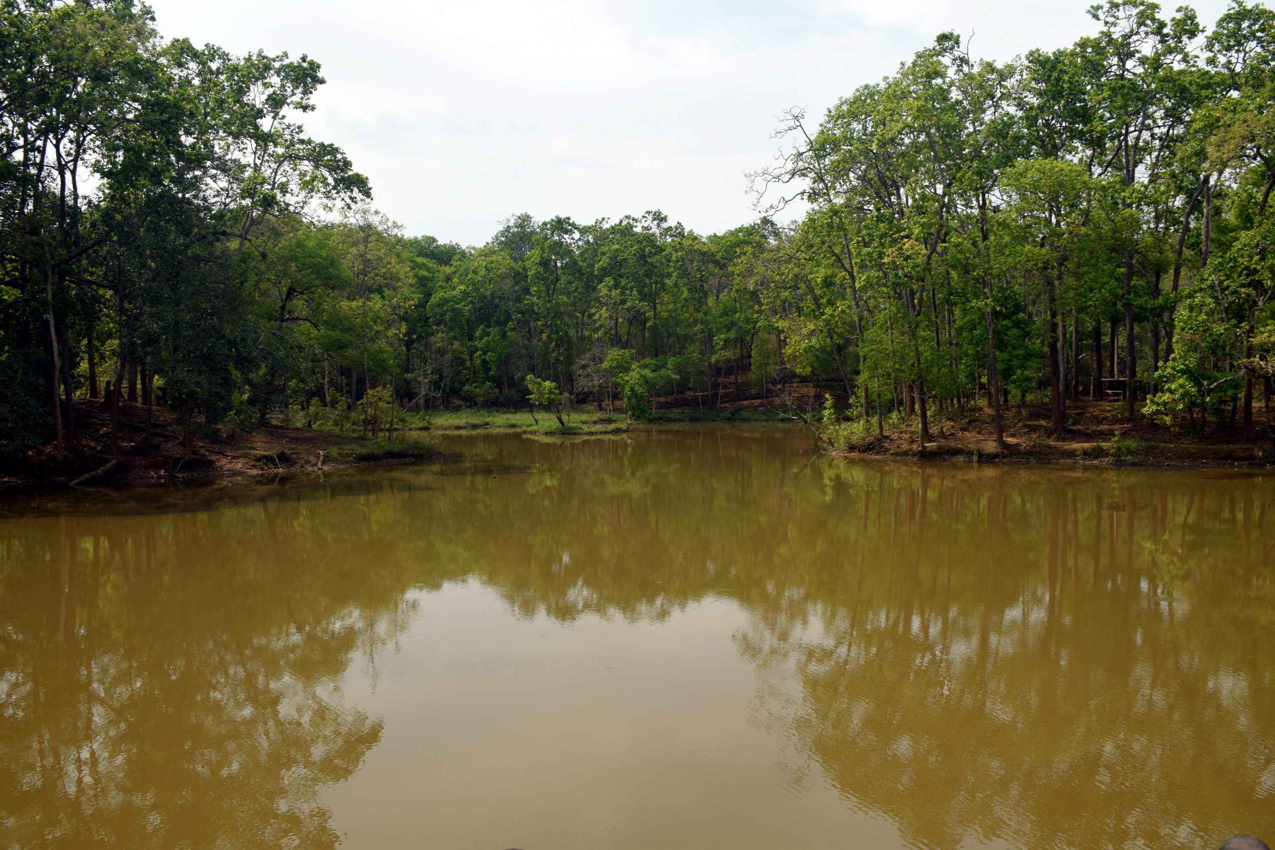 Tasek Lake