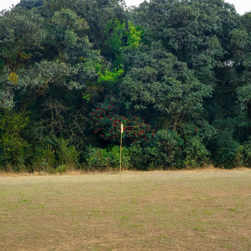 Mawphlang Sacred Groves