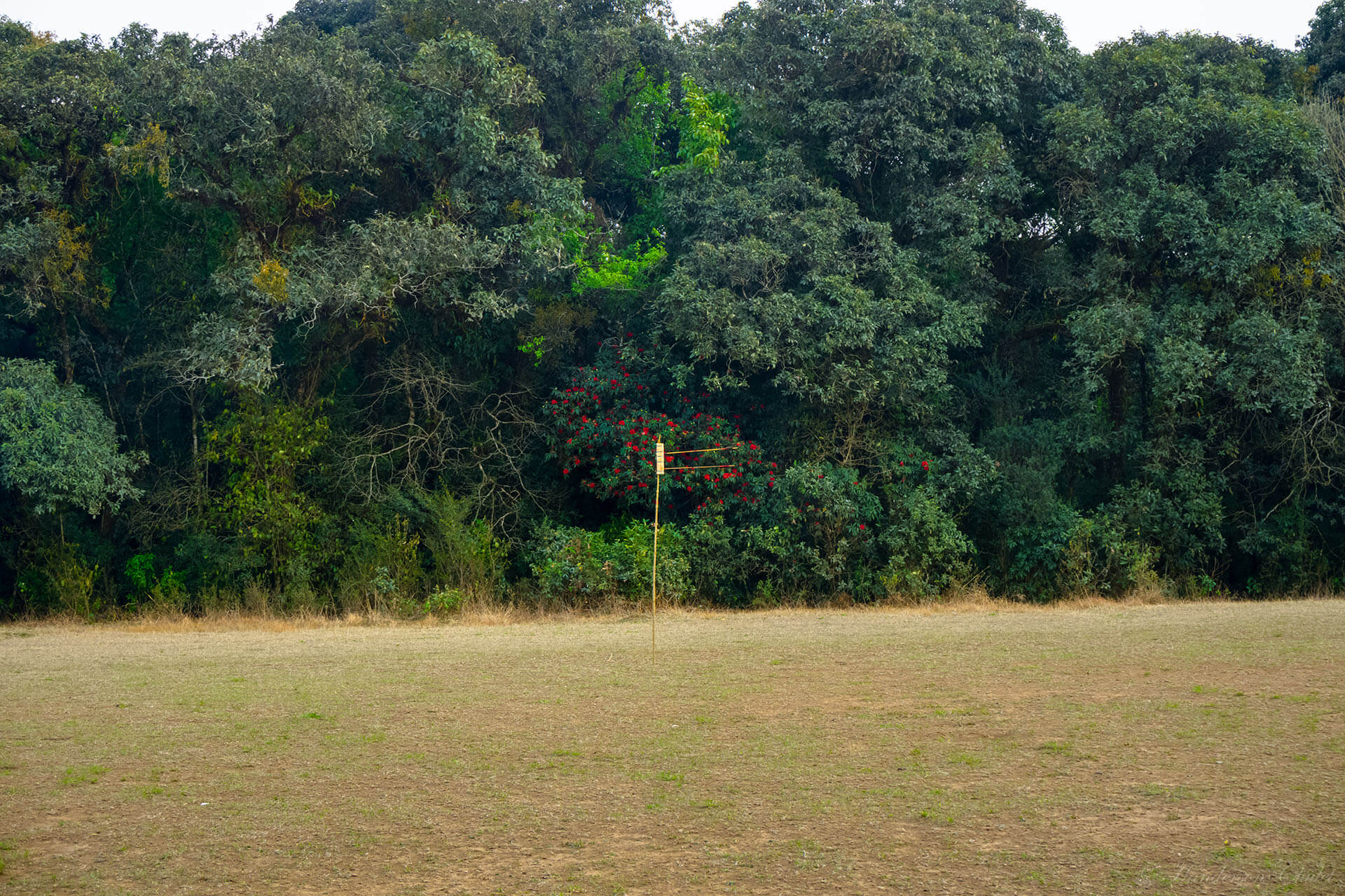 Mawphlang Sacred Groves