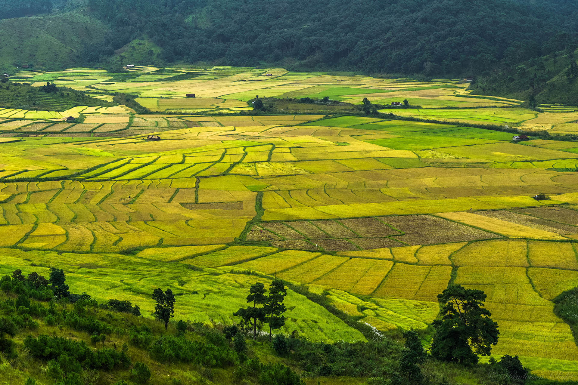 Meghalaya’s Landscapes