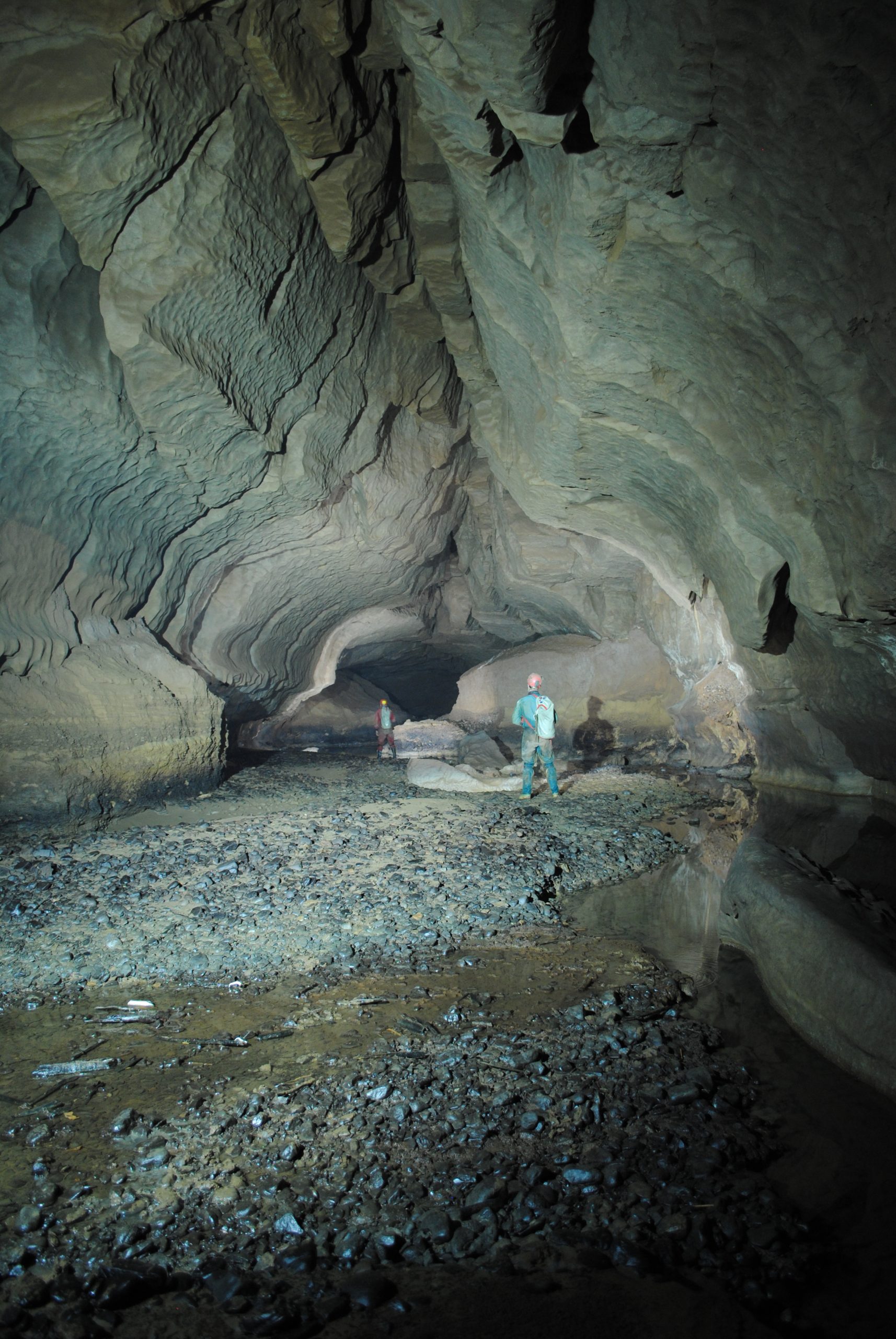 A new species of blind cave-dwelling fish in Meghalaya