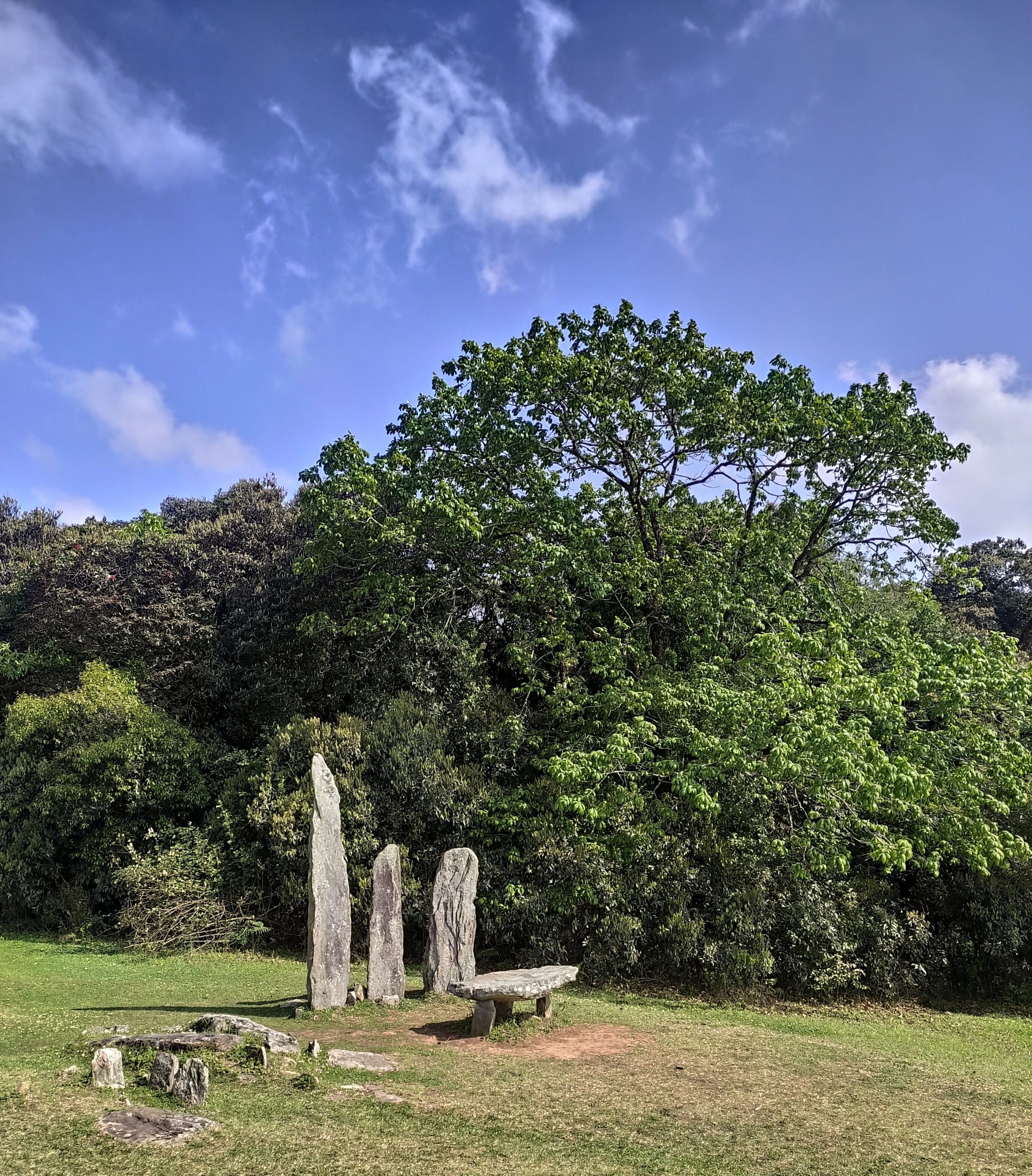 The Mawphlang Sacred Grove in Meghalaya is a must-visit wonderland that has  been preserved marvellou